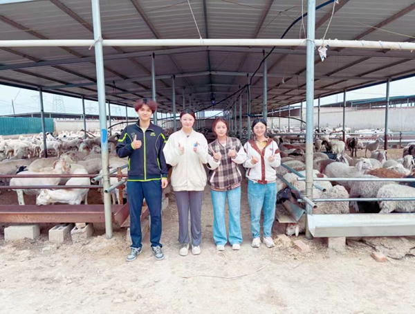 微信图片_20241212105346.jpg 微信图片_20241212105346.jpg